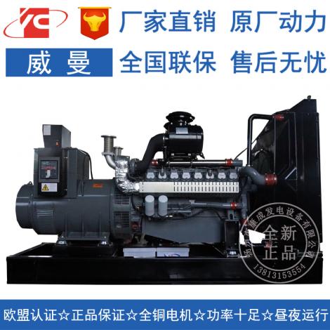 主用240KW備用260KW威曼D11A1柴油發電機組